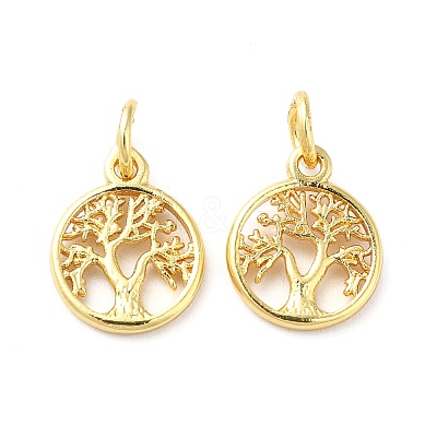 Brass Charms KK-Q403-01G-1