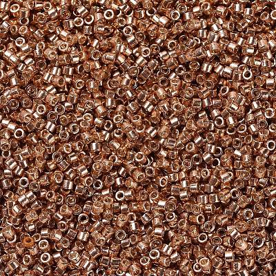 MIYUKI Delica Beads SEED-X0054-DB1836-1