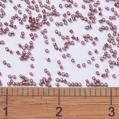 MIYUKI Delica Beads SEED-MY11-DB0423-1