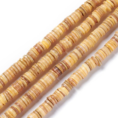 Natural Freshwater Shell Beads Strands BSHE-I016-04B-1
