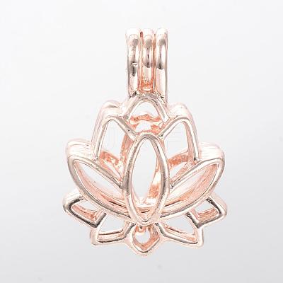 Alloy Diffuser Locket Pendants PALLOY-S062-40RG-1