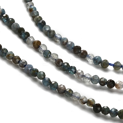 Natural Apatite Beads Strands G-RM2025-A18-2mm-A-1