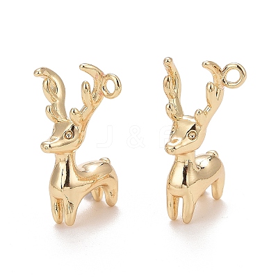 Rack Plating Brass Pendants LS-KK-E267-01LG-1