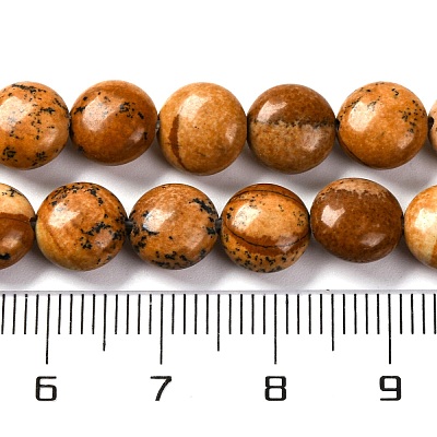 Natural Picture Jasper Beads Strands G-T047-A22-01-1