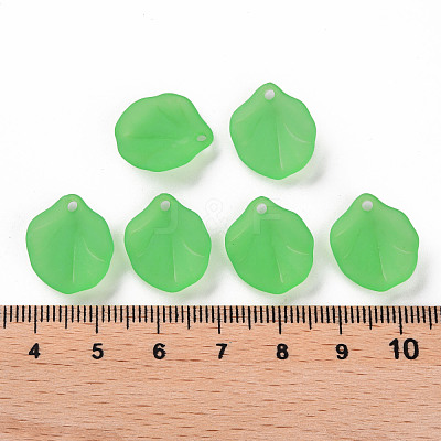 Transparent Frosted Acrylic Pendants MACR-S371-02A-734-1