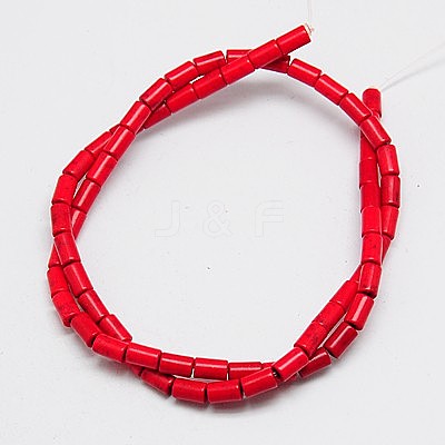 Synthetic Turquoise Beads Strands TURQ-G120-6x13mm-07-1