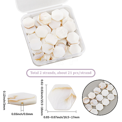 2 Strands Natural Freshwater Shell Beads Strands SSHEL-SC0001-36D-1