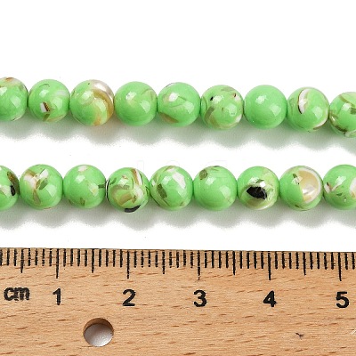 Assembled Synthetic Stone and Trochus Shell Beads Strands G-B128-08B-07-1