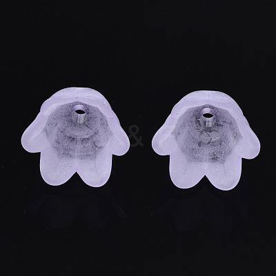 Transparent Acrylic Bead Caps FACR-N005-002F-1