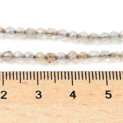 Natural Agate Beads Strands G-H302-A04-01-1