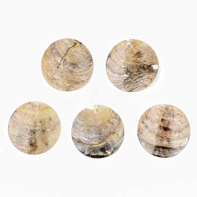 Natural Akoya Shell Pendants SHEL-R048-023-1