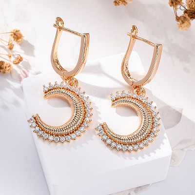 Brass Micro Pave Cubic Zirconia Hoop Earrings EJEW-K300-50G-02-1