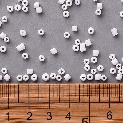 8/0 Glass Seed Beads X1-SEED-A010-3mm-41-1