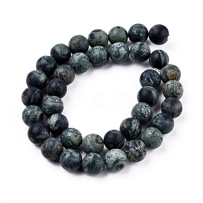 Frosted Natural Kambaba Jasper Beads Strands G-M272-14-8mm-1