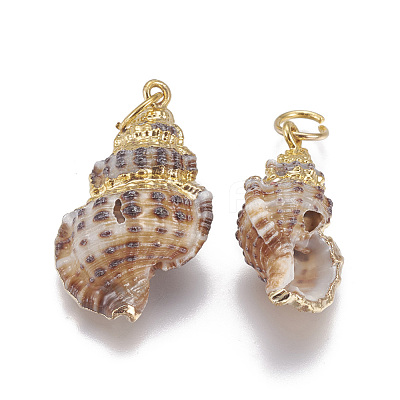 Electroplate Spiral Shell Pendants SSHEL-O019-14-1