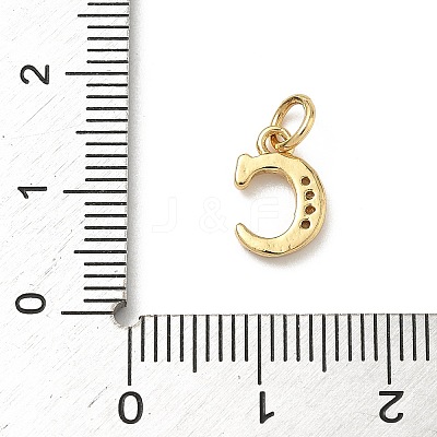 Brass Micro Pave Cubic Zirconia Charms LS-KK-I382-03G-C-1