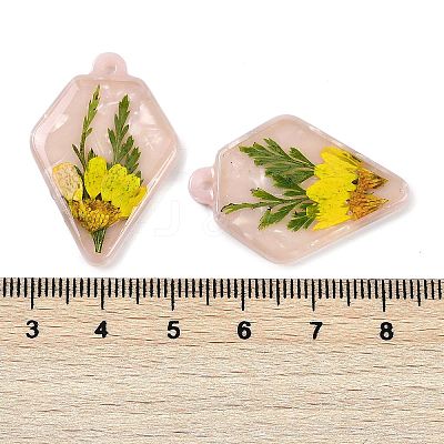 Epoxy Resin Pendants RESI-S09-01P-RS-1