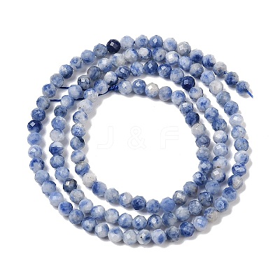 Natural Blue Spot Jasper Beads Strands G-A252-A02-02-1