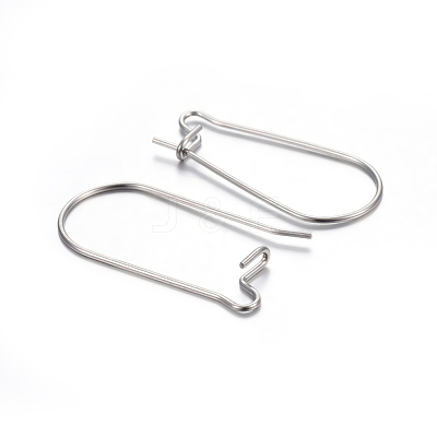 Tarnish Resistant 304 Stainless Steel Hoop Earring Findings STAS-P223-01P-02-1