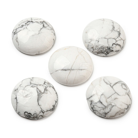 Natural Howlite Cabochons G-C115-02B-12-1