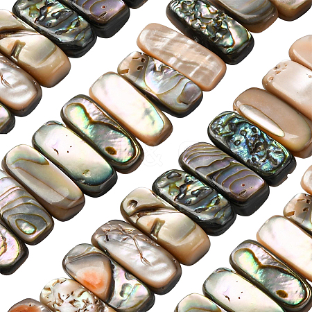 1 Strand Natural Paua Shell Beads Strands BSHE-PA0001-08-1