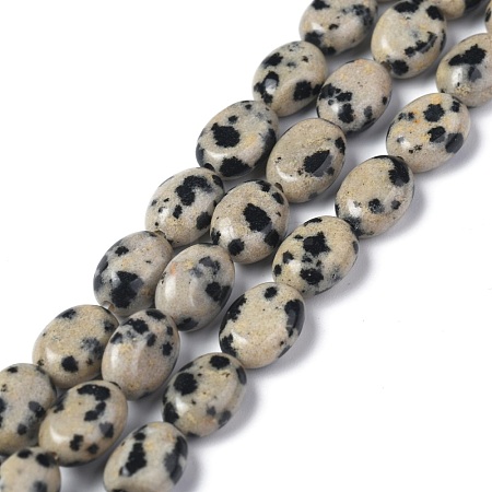 Natural Dalmatian Jasper Beads Strands G-Z006-A31-1