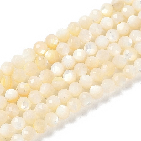 Natural White Shell Beads Strands SSHEL-E571-38A-4mm-1