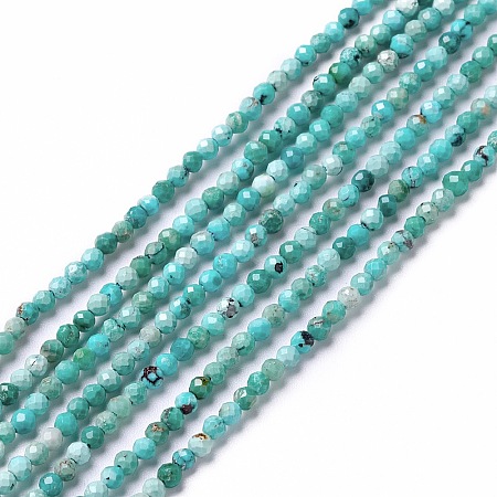 Natural HuBei Turquoise Beads Strands G-G991-A02-1