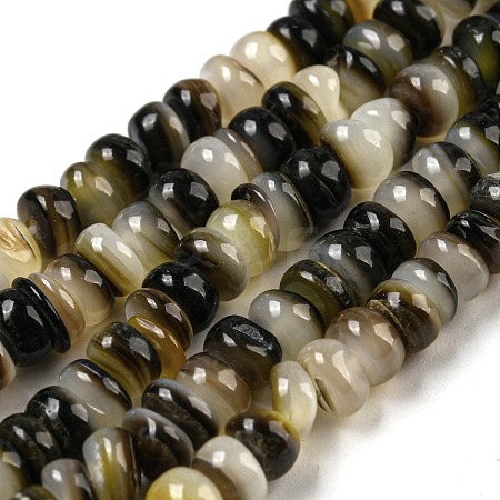 Natural Black Lip Shell Beads Strands BSHE-Z005-06-1