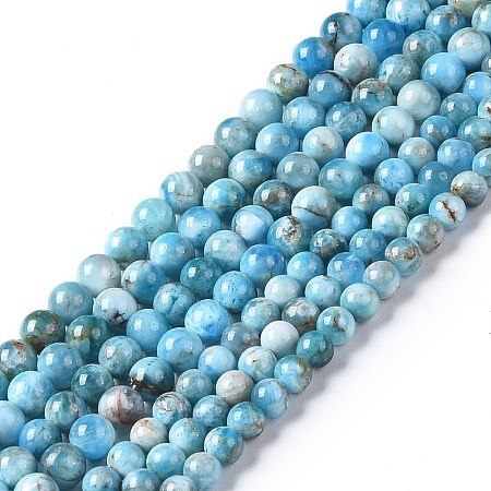 Natural Apatite Beads Strands G-I254-08E-1