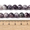Natural Lepidolite Beads Strands X-G-G284-A02-8mm-6