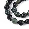 Natural Kambaba Jasper Beads Strands G-T142-86-3