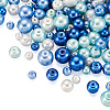 Cheriswelry 12 Strands 12 Style Baking Painted Pearlized Glass Pearl Round Bead Strands HY-CW0001-02-2