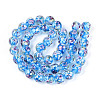 Handmade Lampwork Beads Strands LAMP-T007-04K-1