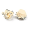 Smudged Color Frosted Resin Cabochons RESI-TAC0018-13E-2
