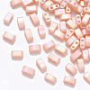 2-Hole Baking Painted Glass Seed Beads X-SEED-S031-M-596-1