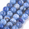 Dyed Natural Agate Beads Strands G-T109-10mm-06-1