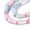 Anti-Tarnish Electroplate Glass Beads Strands GLAA-T025-27-01A-4