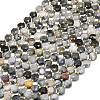Natural Eagle Eye Stone Beads Strands G-C116-A41-02-2