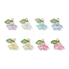 8Pcs Acrylic Charms PALLOY-JF03216-1