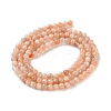 Natural Sunstone Beads Strands G-C284-C02-3mm-01-3