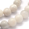 Natural White Crazy Lace Agate Beads Strands X-G-G763-11-6mm-3
