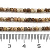 Natural Picture Jasper Beads Strands G-H042-B18-01-5