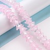 Transparent Glass Beads Strands LAMP-H061-01C-01-2