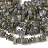 Natural Labradorite Beads Strands X-G-I225-15A-2