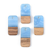 Opaque Resin & Walnut Wood Pendants X-RESI-S389-044A-C01-1