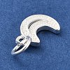 925 Sterling Silver Charms STER-S009-07B-S-2