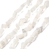 Cat Eye Beads Strands CE-A002-01B-1