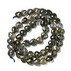 Natural Labradorite Beads Strands G-P544-E01-01-3