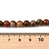 Natural Picture Jasper Beads Strands G-S390-07-6mm-5